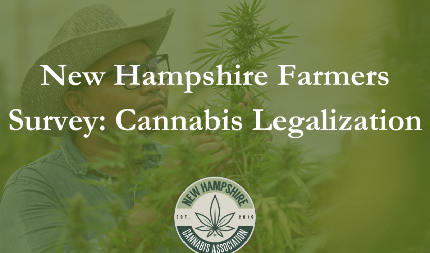Cannabis Farmer Survey Blog Post Cover Image