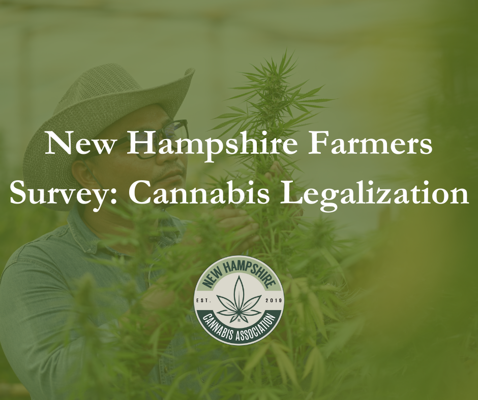 Cannabis Farmer Survey Blog Post Cover Image